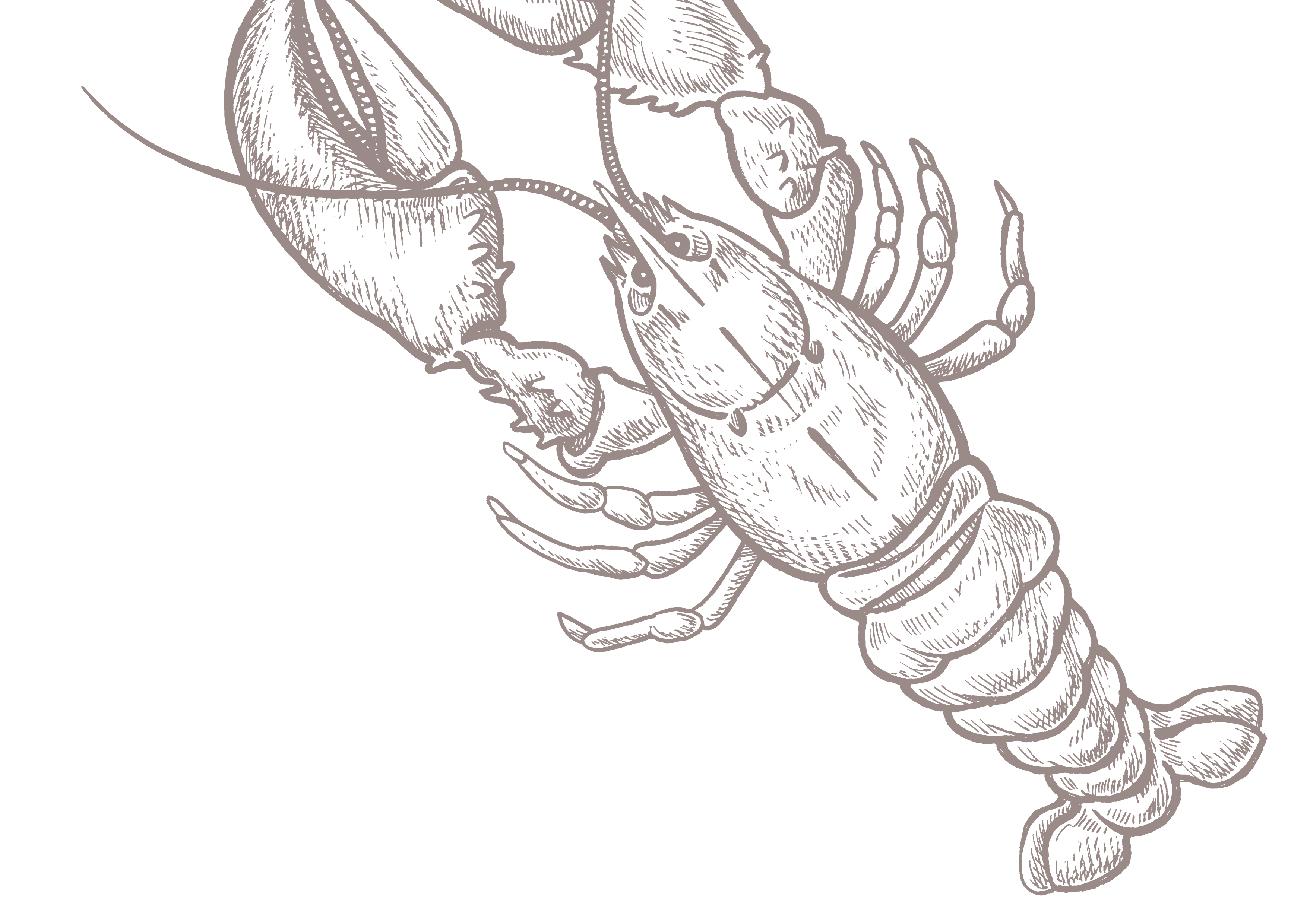 Lobster