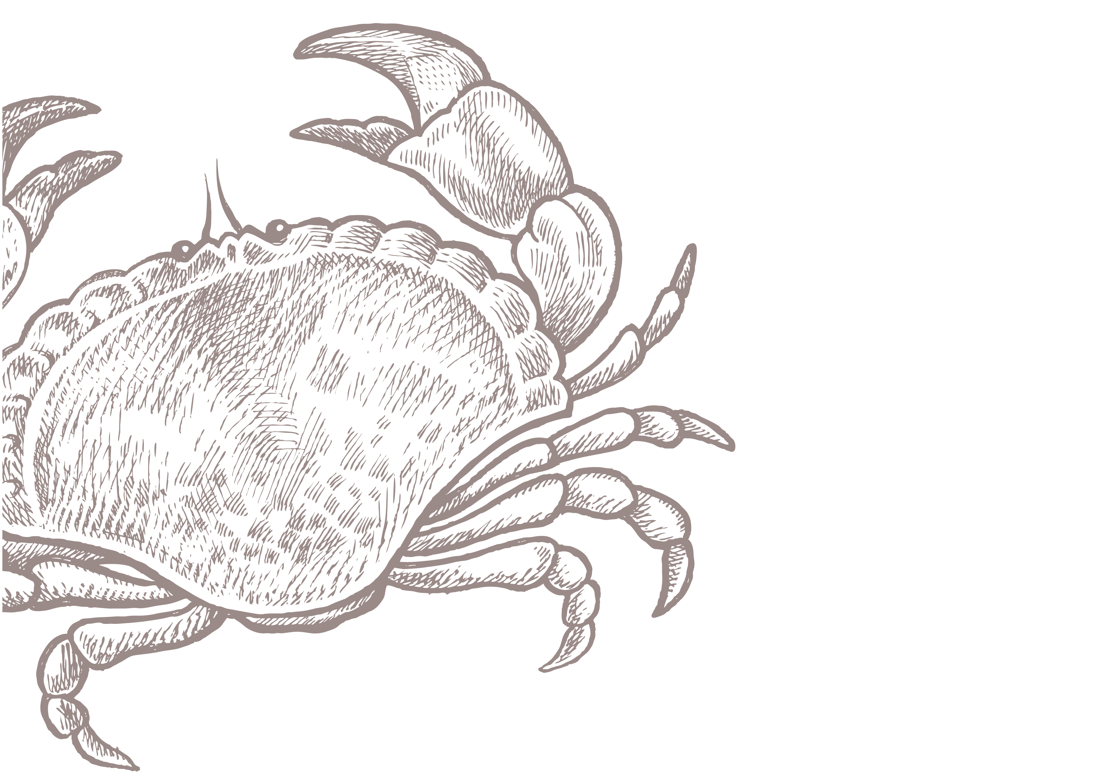 Seafood background
